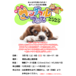 奥武山ワンダフルフェス2026｜3月7日（土）・8日（日）奥武山陸上競技場で開催！全ペットのための祭典🐾